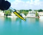 https://www.GlobalCannabinoids.io distributes the highest quality medicinal hemp derived phytocannabinoid rich (PCR) high CBD oil in the world.Our medicinal hybrid hemp plants produce naturally 18% CBD along with CBG, CBN, CBC, CBDA, THC, THCA, THCV, and over 50 naturally present terpenes.This means that our first extraction naturally produces an oil with nearly 70% cannabidiol (CBD).This is the highest natural CBD content of any hemp CBD producer in the world.n nAlthough hemp produces n
