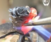 steel rose no headings from rose
