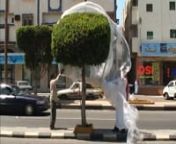 Performance and videonnPerformance in Abha for which he wrapped one of the Cornocarpus Erectus trees running down the main street in a sheet of plastic and remained in there all day, surviving on the oxygen produced by the tree.