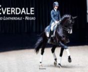 2021 was a year to remember for Everdale, with a Bronze Team medal at the Tokyo Olympics and a Silver Team medalthe mares have been highly decorated, including Everdale’s great-granddam who is a full-sister to the approved stallion Havidoff.Grandsire Negro has become a legend as a sire of Grand Prix horses including Olympic &amp; World Champion Valegro.nnEverdale stamps his neck, uphill balance, powerful gaits, and an excellent canter on his offspring. He already has several approved sons
