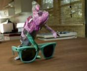 We shot this spot for RayBan (Never Hide Films) in Justin&#39;s apartment. Chameleon are geniuses...