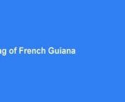 Other than the national flag, the local government utilises provincial flags. In any case, the official local Flag of French Guiana relies upon who you converse with. The Provincial Chamber in French Guiana pronounce the white flag with the outline as their territorial flag. The Departmental Committee embraced the green and yellow flag as the official provincial flag of French Guiana. The French Guiana football crew utilises the green and yellow flag.