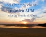 Sri Chinmoy chants mantra AUM with the sounds of cicadas and crickets.nSource https://www.radiosrichinmoy.org/nnAUM: The Mother of all mantrasnThe significance of AumnnAUM existed. Nothing else. AUM exists. Nothing else. AUM will exist. Nothing else. What is AUM? It is the mother of all Indian mantras. What is a mantra? It is the Power in the guise of a sound. The sound of AUM is unique. Generally, when two things are struck together, we hear a sound. But this sound needs no such action. It is a