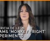 Patricia De León is teaming up with PETA Latino and calling on the National Institutes of Health (NIH) to stop funding experimenter Elisabeth Murray’s “monkey fright” experiments, in which she induces permanent brain damagein monkeys and terrorizes them with realistic-looking fake snakes and spiders.
