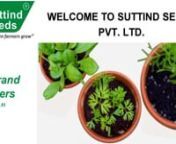Suttind Seeds is an online store for home gardening, Kitchen gardening, terrace gardening like Native/Desi vegetable seeds, fruit, flower seeds, grow bags, Garden tools. Read More at https://suttindseeds.in/