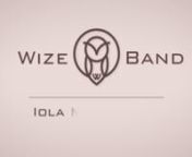 https://www.wizeband.com/collections/apple-watch-bands