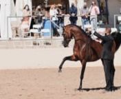 2023 Scottsdale Arabian Horse Show Promo Video from arabian