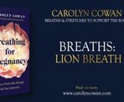 A breath to move the feelings. Do not be shy! nnLearn more about the breaths in my book: nnhttps://amzn.eu/d/9fPpfw1 nnPlease note that by taking part in this series, you agree to my terms and conditions and have noted the medical disclaimer, which is copied below.nnI very much hope that you find the book, and these videos, a source of comfort and support during your pregnancy and postnatal period. nnIf you have questions or feedback whilst working with the videos please do email me:ninfo@car