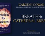 Another of my real favourites, a practice I often teach in my own classes. Cathedral Breath is an interesting practice that may just aid you not only in exploring new states of stillness, but further in visualising a huge amount of space, inside, at a time it may feel as if there is none left. nnLearn more about the breaths in my book: nnhttps://amzn.eu/d/9fPpfw1 nnPlease note that by taking part in this series, you agree to my terms and conditions and have noted the medical disclaimer, which i