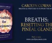 The pineal glad is important in pregnancy and play a big role in the development of your baby. nRead more about that, alongside all of the breaths, including this one, to gain a deep understanding of how they work, in my book: nnhttps://amzn.eu/d/9fPpfw1 nnPlease note that by taking part in this series, you agree to my terms and conditions and have noted the medical disclaimer, which is copied below.nnI very much hope that you find the book, and these videos, a source of comfort and support du