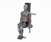 dumbbell-seated-hammer-curl-fitness-exercise-worko-2023-02-26-12-33-21-utc from worko