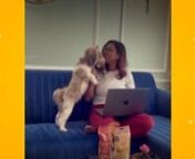 No more guilt of leaving your furry friend alone �❤️ nnDogsee Hard Bars are the perfect solution to keep them entertained and occupied while you focus on work �nnPacked with long-lasting chewiness, these bars provide endless hours of delicious distraction. nnHard Bars are:nn✅ Made from protein &amp; calcium rich himalayan cheesen✅ Help fight plaque &amp; tartar n✅ Gluten &amp; preservative freennOrder now to grab a 15% OFF on these nutritious and tasty hard bars.nnKeep you pup busy
