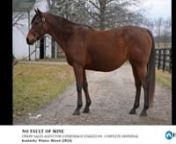 2024 Fasig-Tipton Kentucky Winter Mixed SalenHip #467 No Fault of Mine (in foal to Omaha Beach)nConsigned by Vinery Sales, Agent for Lothenbach Stables Inc. Complete Dispersal