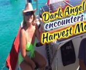 In this episode of Sailing Dark Angel, Neal from Harvest Moon breaks out his Sailrite sewing machine and his expertise to fix our blown out jib sail.nThen we join Harvest Moon again for the Darkside Parade in Elizabeth Harbour during the famous Cruisers RegattannFollow Neal from the start as he refits Harvest Moon https://www.youtube.com/@harvestmoonsailing513nnLooking for more awesome refit content? Sascha and Raf totally refit Spearit Animal herenhttps://www.youtube.com/@SpearItAnimalnnFollow