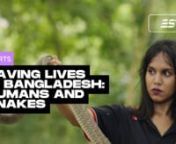 On average, 16 people die from snakebites every day in Bangladesh. Deep Ecology is a 24/7 on-standby, volunteer group that rescues these snakes. Not only is their rescue work saving lives (both humans and snakes) but they’re also breaking the misconceptions causing snake extinction.nnSnake-related awareness and snake rescue ideas are not well known yet. Before Syeda Annanya Faria, there were no women involved in this rescue work. While Syeda grew up with a fear of snakes like many of us, today