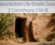 IntroductionnnQUESTION: Smell, touch, hearing, sight, taste - which sense is most important to you and why?nn1. Death Smells Bad nnA. Lazarus, Jesusn“But, Lord,” said Martha, the sister of the dead man, “by this time there is a bad odour, for he has been there four days.”” (John 11:39 NIV11)nnSpices needed: n“Nicodemus brought a mixture of myrrh and aloes, about seventy-five pounds. Taking Jesus’ body, the two of them wrapped it, with the spices, in strips of linen. This was in acc