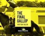 It’s the final meeting of the 2021 Queensland Winter Racing Carnival at the Sunshine Coast on Saturday &amp; our stable has runners in two of the feature races. After his last start win in the Listed Eye Liner Stakes, 6yo gelding Snitch will line up in the Listed Glasshouse Handicap while talented 3yo fillies Glitter Strip &amp; The Actuary will contest the Group 3 Winx Guineas. For a preview of the action &amp; review of our winter carnival highlights, here is trainer Tony Gollan with host Cl