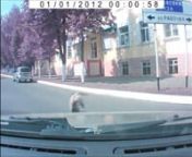 When this driver came across a dog at an intersection, the dog starts to watch his car drive by and walks right in front of the car. The driver tries to drive around the dog, but it wasn&#39;t going to get out of the way. Wait until you watch the end of this video because it will leave you in complete shock!nnNot only did the dog walk right in front of the car, but it also starts to bark at the driver uncontrollably and won&#39;t move from the front of the car. It isn&#39;t even phased about getting hit! Is