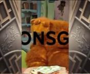 LIONSGATE Logo Bear In The Big Blue House Variant from bear in the big blue house theme song slow