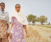 The widows of the ‘Green Revolution’ in Punjab fight every odd, in a bid to survive. Winner of a National Film Award, Best Film Awards at Kathmandu, Kochi, Delhi and selected at over 18 film festivals, including Thessaloniki, Ladakh, Istanbul, Trento, Seattle, Kuala Lumpur and Nis, among others.nnDirected by Kavita Bahl and Nandan Saxena &#124; 2013nProducer and Commissioning Editor: Rajiv Mehrotra nnKavita Bahl and Nandan Saxena are award-winning independent filmmakers and media-trainers. Quitti