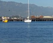 Stearns Wharf in Santa Barbara Harbor, paradise home to many happy critters... some swim, some fly and some just hang out. If you can&#39;t get there this weekend yourself, this late afternoon ZoneOut episode will get you a little closer!