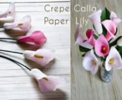 TA Diy Ideas How to make calla lily paper flower &#124; When I was young studying biology of flowers, I totally had no idea what my teacher talked and thought to myself that why so complicated a flower. However through my video, you will find that making a crepe paper is so simple a handmade craft. Watch the video and see for yourself: https://youtu.be/plbB09TA3UM