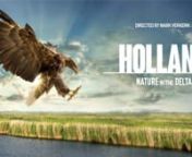 Watch the film here: https://filmsforchange.stream/programs/holland-nature-in-the-deltannFor millennia, long before humans first ventured into this watery world, nature was the dominant force moulding the region we now know as the Netherlands. For millennia life revolved around: the search for food and shelter; the trials of raising young, of growing up and finding a mate. Universal themes that touch the hearts of audiences young and old A thousand years ago, we humans began to also to play a ro