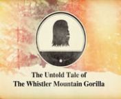 In this short spectacle we tell the mythical tale of the Whistler Mountain Gorilla. This creature has been spotted only once in the early 60&#39;s, and recently, using global satellite positioning systems we we&#39;re able to accurately pin-point its habitat, and bring our film crew up close and personal with the native beast.nnPRODUCED AND DIRECTED BYnDarren Rayner, Callum JelleynnPRINCIPAL CINEMATOGRAPHYnDarren Rayner, Callum Jelley, Mason MashonnnJEFF BOAKE as the GorillanSHAYNE ZWICKEL as the Banana