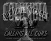 From the Three Stooges short Calling All Curs (1939).