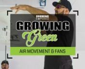 When setting up your grow room environmental conditions, air movement and ventilation should a key aspect you should consider. An efficient air flow system can prevent the introduction and growth of pathogens and pests while improving your overall yield.nnImportance of Air Circulation In a Grow RoomnOutdoor-grown cannabis plants can be exposed to a gentle breeze that provides them with necessary wind and air circulation. When growing cannabis indoors, your grow room requires ventilation systems