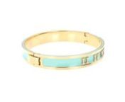 Hinge signature bangle including spinning video.mov from video bangle
