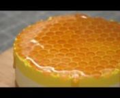 How To Make Honey CheeseCake No Bake No Oven Without Oven nはちみつチーズケーキ の作り方 n●● Recipe (レシピ):nDough:n- 100g Biscuitsn(ビスケット)n- 40g Melted buttern(溶かしバター)n- Refrigerate for 20 minutesn(冷蔵庫で20分)nHoney Creamcheese:n- 5g Gelatinn(ゼラチンパウダー)n- 25ml Watern(水)n- Wait for 15 minutesn(15分待つ)n- 200g Creamcheesen(クリームチーズ)n- 50g Yogurtn(ヨーグルト)n- 60g Honeyn(はちみつ)n- Hot watern(お湯)n-