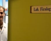 Laboratorio de Ficología - entrevista a Julio de la Rosa from ficologia