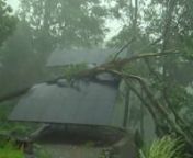 Severe hurricane type weather lifted and carried trees.100 foot tree lands on and destroys solar panel array.Homeowner&#39;s insurance covers additional structures. nVideo World oil supply high demand solar how to alternative fuels global warming
