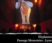 Une des oeuvres de la fête des Lumières, à Lyon, pose beaucoup de questions au public. Pourquoi y a-t-il un éléphant passage Menestrier ?