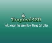 The PotCast Interviews Tropical420 About HempCatLitter.com. Watch full session #199 here: http://www.stickam.com/viewMedia.do?mId=193756543 Listen here: http://www.pc420.com/potcast-199-politricks-and-hemp/