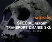 Short videoclip made by Infofilm, producer of media for museums, about the Secure Dmanisi Skull (1.8 million years old) Transport from Schiphol Aerport to Naturalis Museum in Leiden, The Netherlands. The film is made with Canon 5D Mark 2 and Panasonic HVX2000.