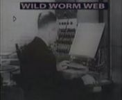 Free download of the EP here : http://archive.org/download/Wisdom_Undoing_Randomized_Mechanism_Wild_Worm_Web/Wisdom_Undoing_Randomized_Mechanism_Wild_Worm_Web_vbr_mp3.zipnnMore Mutant Music here http://soundcloud.com/wild-worm-web-mixtapenWild Worm Web is now part of Vivid Tribe Of Psychicsnhttp://soundcloud.com/vivid-tribe-of-psychicsnnThanks to Hy Hirsh and the others for their found footages.nnIn the 1968 film 2001: A Space Odyssey, the intelligent HAL 9000 computer during its deactivation lo
