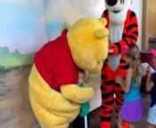 the family at WDW&#39;s Magic Kingdom meets Winnie the Pooh and Tigger.
