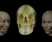 A detailed look at how Field Museum scientists scanned a mummy and reconstructed her skull, and how an artist in Paris brought her face to life.