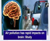 According to a new study, common levels of traffic pollution can impair thefunctioning of the human brain. The study was the first to show in a controlled experiment using functional magnetic resonance imaging (fMRI) that exposure to diesel exhaust disrupts the ability of different areas of the human brain to interact and communicate with each other.The peer-reviewed findings, published in the journal Environmental Health, show that just two hours of exposure to diesel exhaust causes a decrease in the brain&#39;s functional connectivity -- a measure of how the study provides the first evidence in humans, from a controlled experiment, of altered brain network connectivity induced by air pollution.&#92;