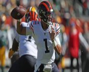 NFL Week 11 Preview: Can Justin Fields Lead Chicago Vs. Detroit? from lion king 4 kopa