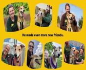 A dog once dubbed Britain&#39;s most unwanted has finally found his forever home - after spending almost five years in care.&#60;br/&#62;&#60;br/&#62;Jake the Lurcher was first taken in by Dogs Trust aged just one in 2015. And while they managed to find him a home, he was returned in 2019. Despite thousands of requests for other dogs in the charity&#39;s care, Jake spent a whopping 1,700 days in its centre in Leeds.&#60;br/&#62;&#60;br/&#62;But the charity has revealed he&#39;s now found a loving home with a couple identified only as Veronica and Keith in nearby Keighley.&#60;br/&#62;&#60;br/&#62;Kevin Johnson, who cared for Jake at the centre, said: &#92;