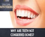 Teeth and bones are both hard, white and heavy with calcium, but that doesn&#39;t make them one and the same. From the way they look to how they heal, teeth are quite different from the body&#39;s bones.