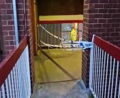 Forensic specialists were today examining a stairwell at Sheffield flats after a masked gang stabbed two men.&#60;br/&#62;Crime Scene Investigators arrived at Cliff Street flats after 5.40pm on Saturday following the 4am incident which left men aged 27 and 21 fighting for life.&#60;br/&#62;The stairwell, which has multiple exits, was taped off and guarded by officers all day.&#60;br/&#62;Police said this morning there had been no arrests and put out an appeal for information.&#60;br/&#62;