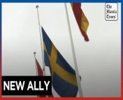 Swedish flag raised at NATO headquarters&#60;br/&#62;&#60;br/&#62;Sweden joined NATO in Brussels on March 7, 2024, marking its entry as the 32nd member amidst Russia&#39;s invasion of Ukraine, after two centuries of staying neutral, following two years of difficult negotiations.&#60;br/&#62;&#60;br/&#62;Video by AFP&#60;br/&#62;&#60;br/&#62;Subscribe to The Manila Times Channel - https://tmt.ph/YTSubscribe &#60;br/&#62;&#60;br/&#62;Visit our website at https://www.manilatimes.net &#60;br/&#62;&#60;br/&#62;Follow us: &#60;br/&#62;Facebook - https://tmt.ph/facebook &#60;br/&#62;Instagram - https://tmt.ph/instagram &#60;br/&#62;Twitter - https://tmt.ph/twitter &#60;br/&#62;DailyMotion - https://tmt.ph/dailymotion &#60;br/&#62;&#60;br/&#62;Subscribe to our Digital Edition - https://tmt.ph/digital &#60;br/&#62;&#60;br/&#62;Check out our Podcasts: &#60;br/&#62;Spotify - https://tmt.ph/spotify &#60;br/&#62;Apple Podcasts - https://tmt.ph/applepodcasts &#60;br/&#62;Amazon Music - https://tmt.ph/amazonmusic &#60;br/&#62;Deezer: https://tmt.ph/deezer &#60;br/&#62;Stitcher: https://tmt.ph/stitcher&#60;br/&#62;Tune In: https://tmt.ph/tunein&#60;br/&#62;&#60;br/&#62;#TheManilaTimes&#60;br/&#62;#tmtnews &#60;br/&#62;#NATO &#60;br/&#62;#Sweden &#60;br/&#62;#natomembership