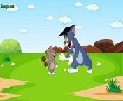 Tom and Jerry...!!! Tom&#39;s excitement annoys Jerry&#60;br/&#62;&#60;br/&#62;Tom and jerry,animation,cartoon animation,