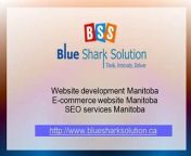 We are one of leading web design company and development specialist.Our ecommerce website design Winnipeg with extra excellence and innovative ideas.&#60;br/&#62;http://www.bluesharksolution.ca