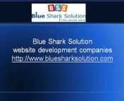 We have many years of experience in Ecommerce Web Development.Our Ecommerce Web Solution give your business the credibility, sales &amp; exposure it deserves!&#60;br/&#62;http://www.bluesharksolution.com/&#60;br/&#62;