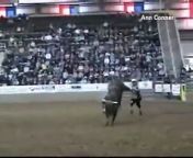 Having front-row seats for a rodeo sounds like a pretty exciting time. But a North Carolina couple wasn&#39;t prepared to be charged by a high-jumping bull. Rodeo workers were trying to round up the bull after a rider fell, but the bull had other ideas.